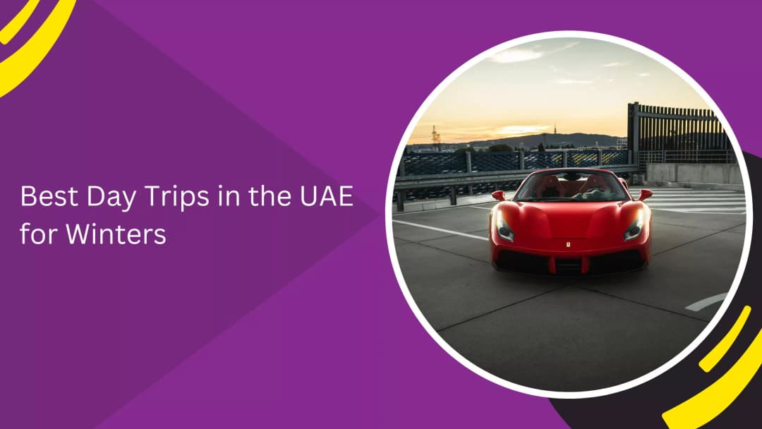 Best Day Trips in the UAE for Winters
