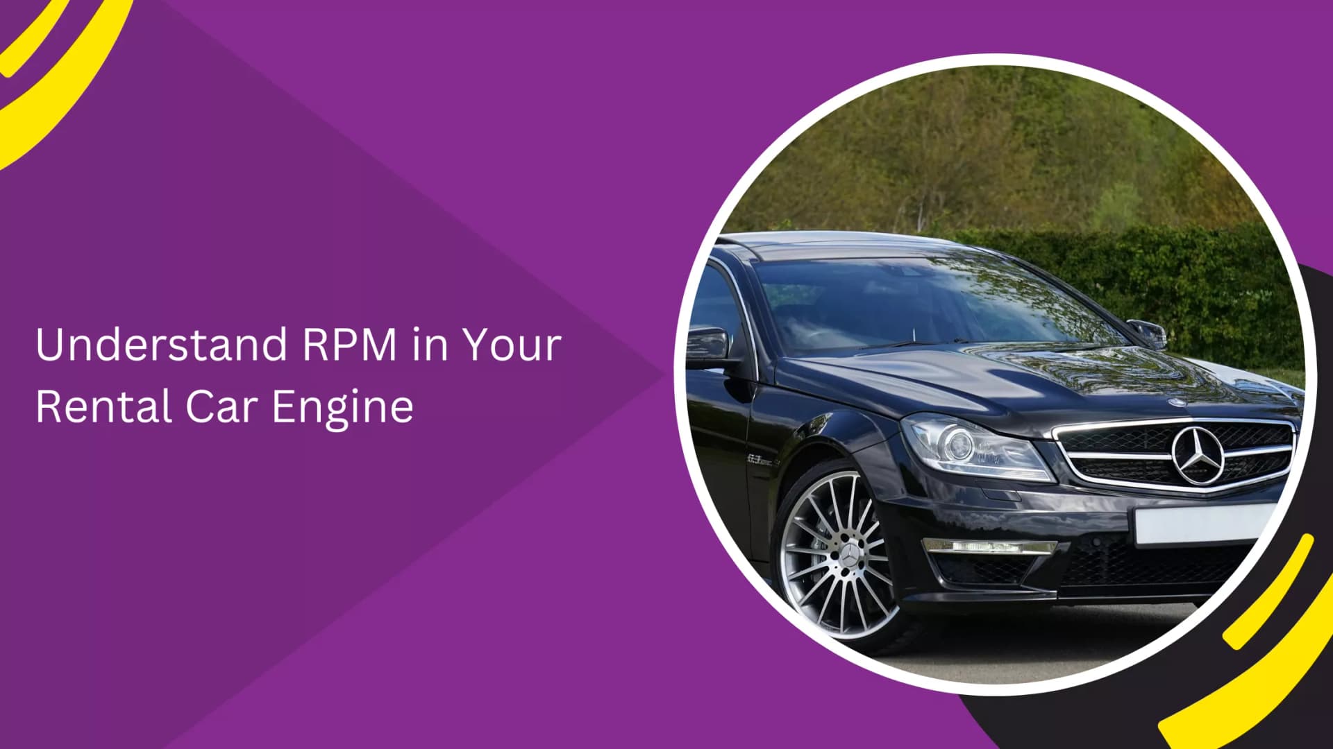 Rental Car_blogs