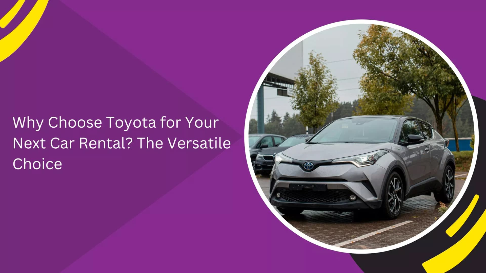 car rental fleet_blogs